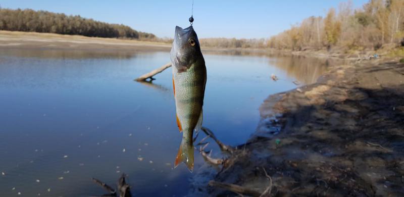 Прикрепленное изображение