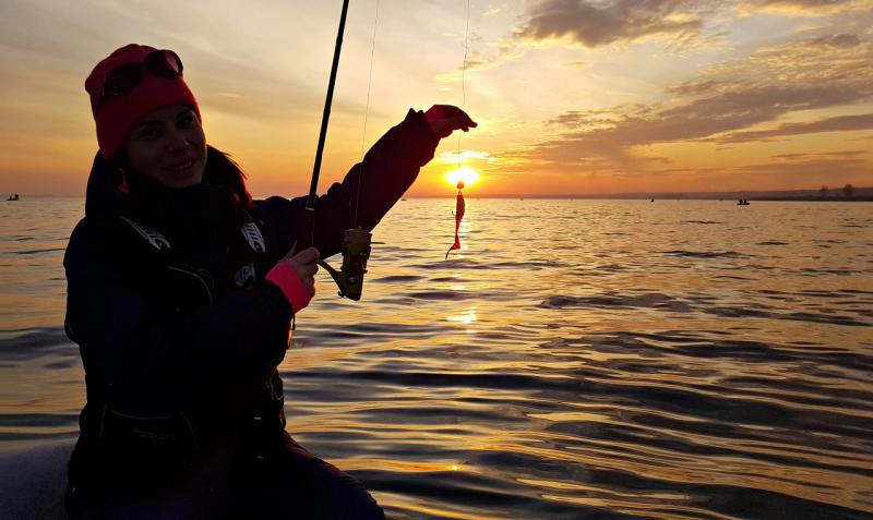 Прикрепленное изображение