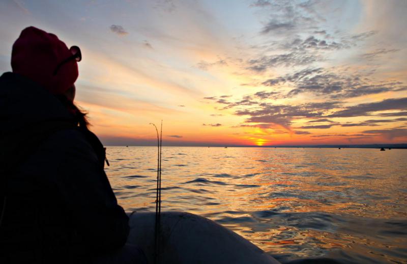 Прикрепленное изображение