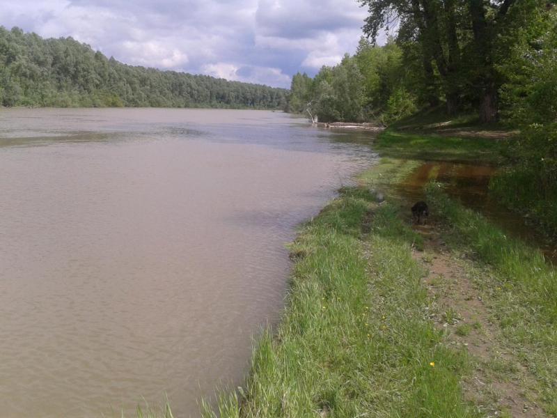 Прикрепленное изображение: 2019-06-10 12.17.55.jpg