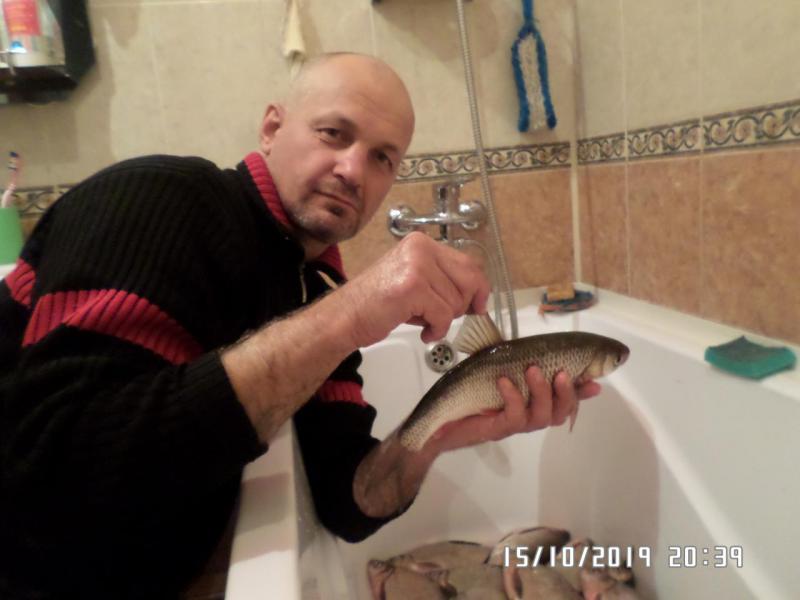 Прикрепленное изображение: SAM_8253.JPG