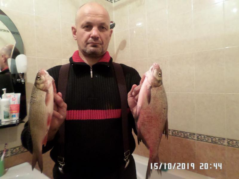 Прикрепленное изображение: SAM_8265.JPG