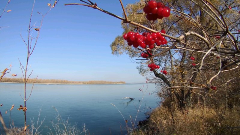 Прикрепленное изображение: Screenshot_2019-10-15-13-50-45-962_cn.wps.moffice_eng.png