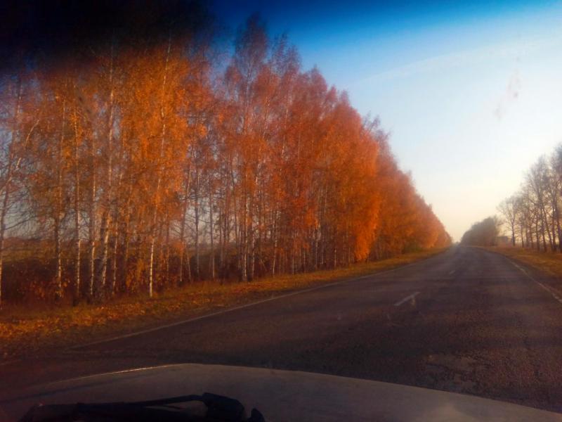 Прикрепленное изображение: IMG_20191013_170045.jpg