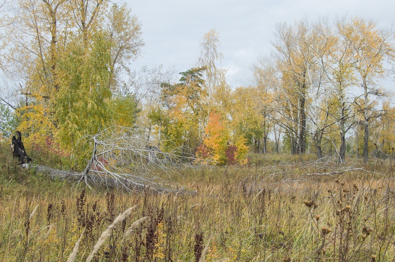 DSC_8361.jpg
