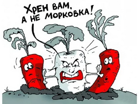 245.jpg