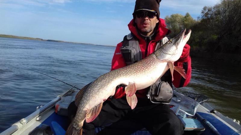 Прикрепленное изображение