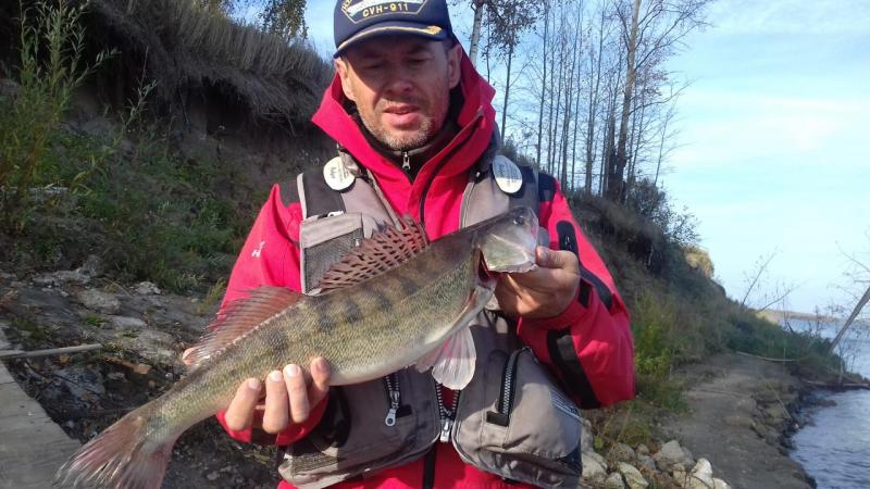 Прикрепленное изображение