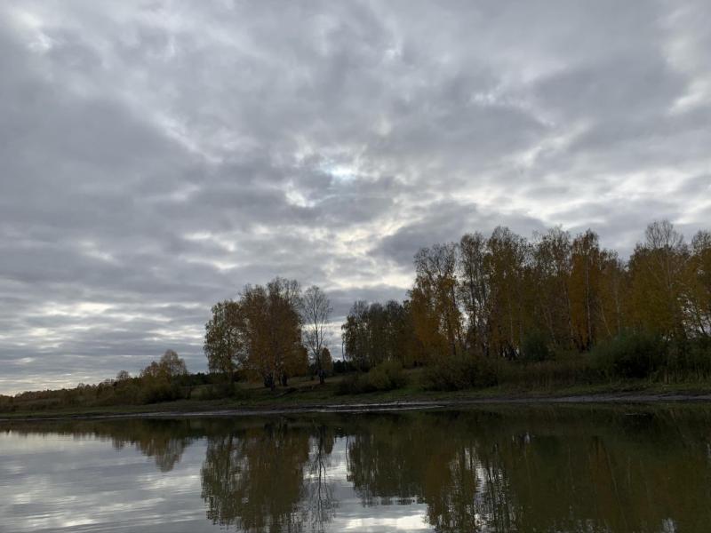 Прикрепленное изображение: IMG_7928.JPEG