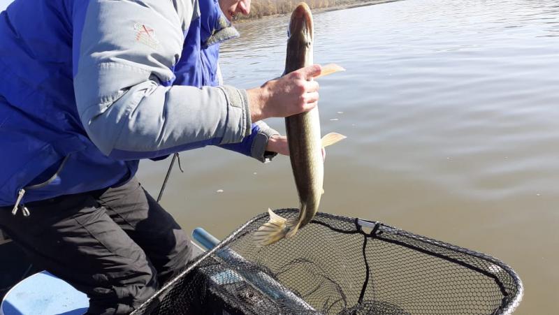 Прикрепленное изображение: IMG-20201003-WA0013.jpg