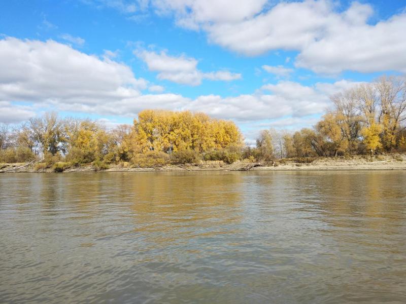 Прикрепленное изображение: IMG_20201002_142455.jpg