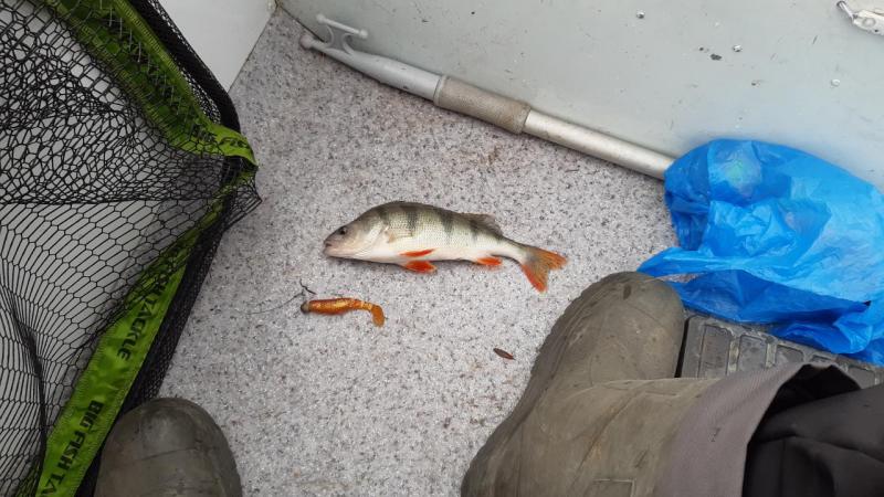 Прикрепленное изображение: 20201001_153401.jpg