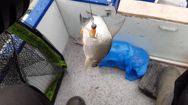 Прикрепленное изображение: 20201001_150632.jpg