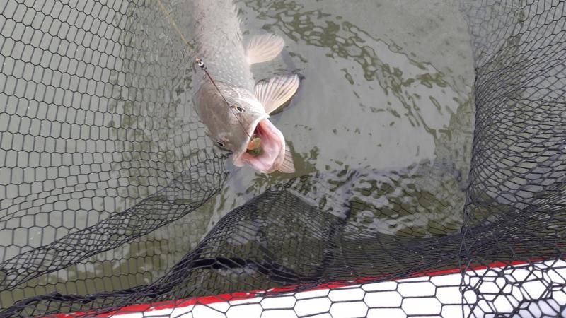 Прикрепленное изображение: 20201001_162331.jpg