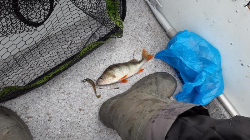 Прикрепленное изображение: 20201001_142127.jpg