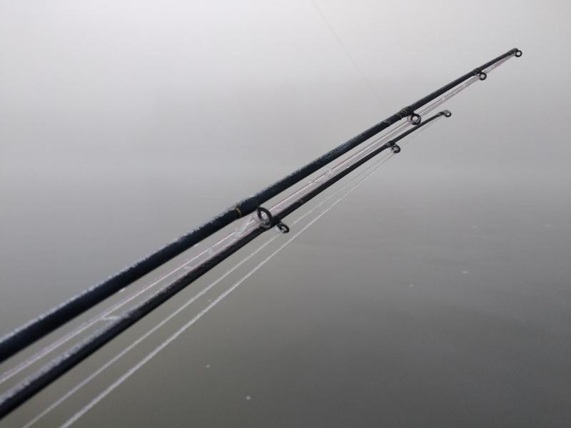 IMG_20201003_080533.jpg
