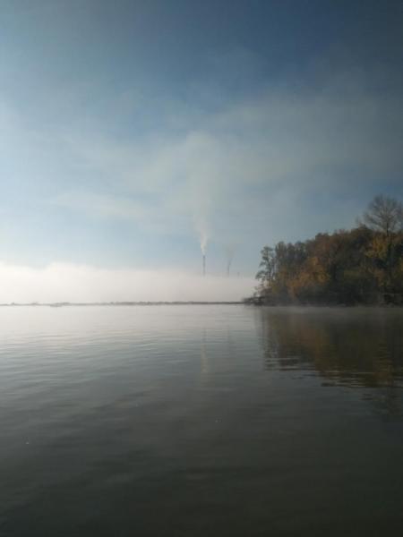 IMG_20201003_103138.jpg