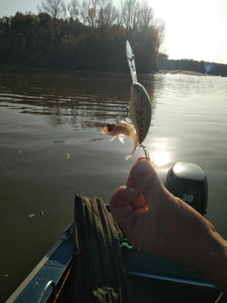 IMG_20201003_163310.jpg