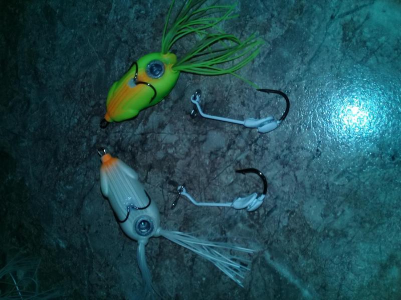 20201023_193419.jpg