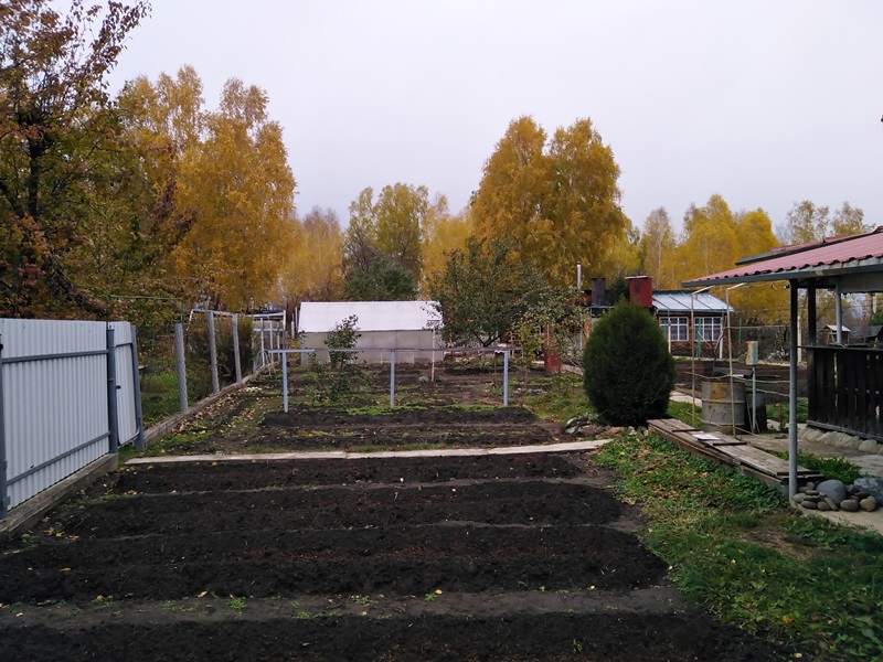 IMG_20201007_144445.jpg