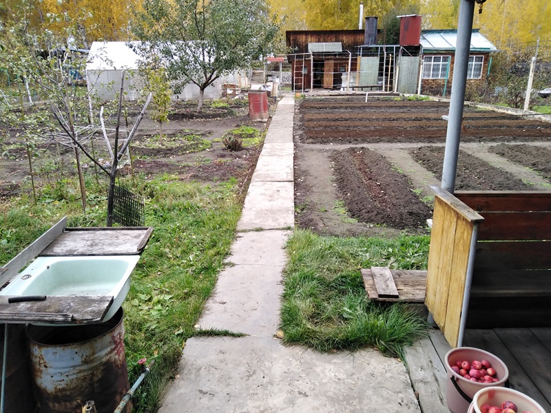 IMG_20201007_144205.jpg