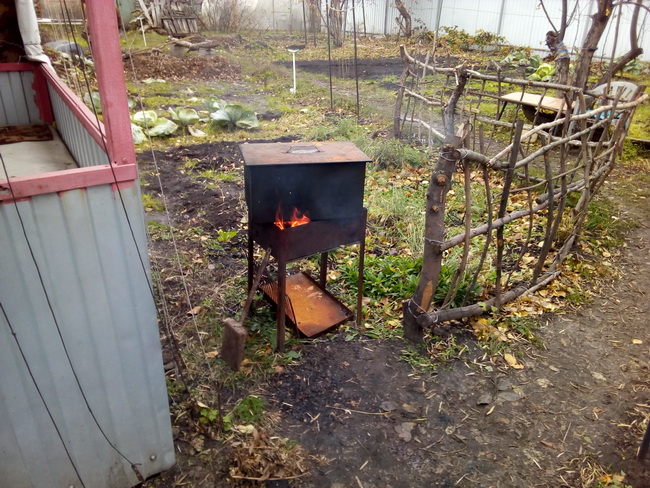 IMG_20201020_121803.jpg