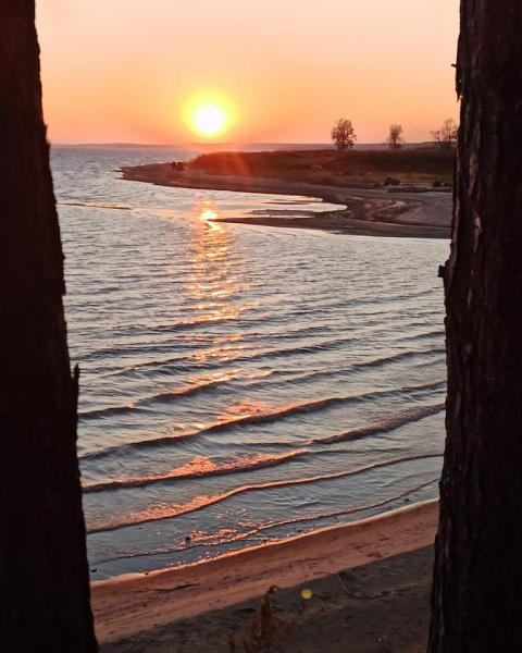 Прикрепленное изображение