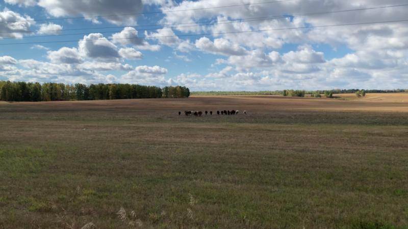 Прикрепленное изображение: Scene 0 (00.00.19.666).png