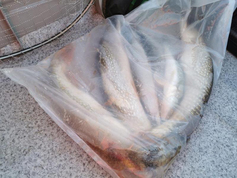 Прикрепленное изображение: IMG_20211019_165231.jpg