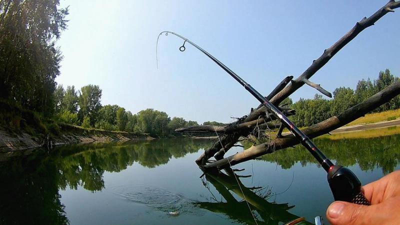 FHD0051_Moment (2).jpg