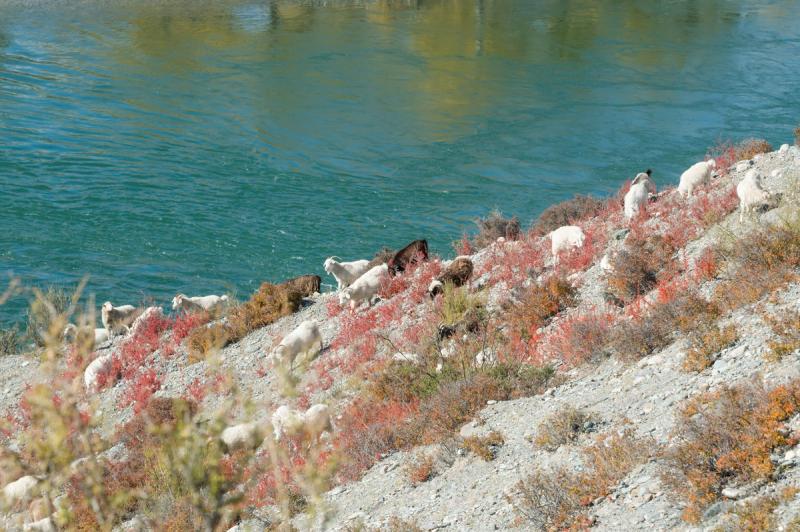 DSC_1077.jpg