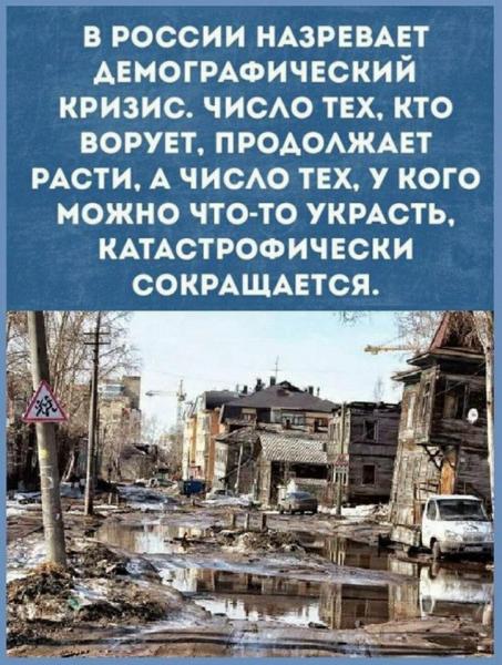 image (67).jpg