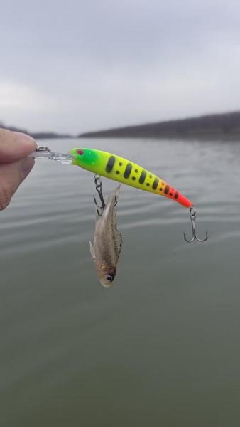 WhatsApp Image 2025-10-26 at 19.44.50.jpeg