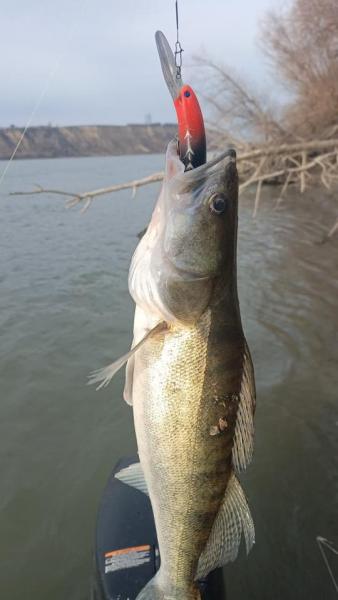 WhatsApp Image 2025-10-26 at 11.51.18.jpeg