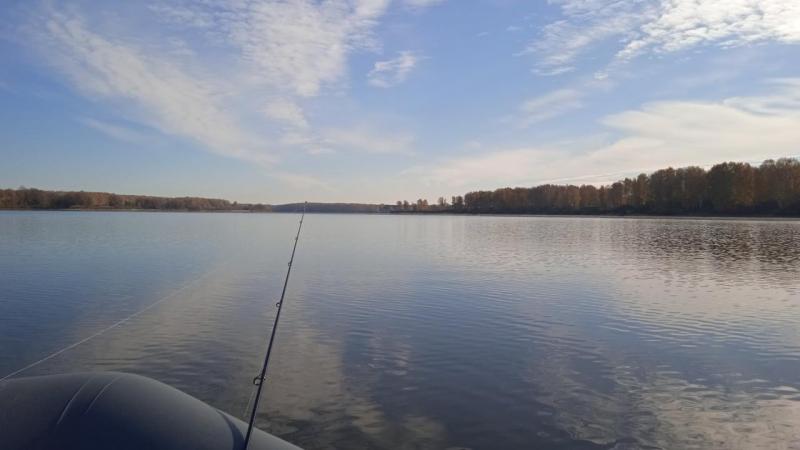IMG-20251001-WA0003.jpeg