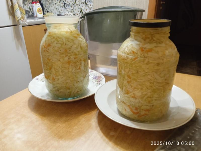 IMG_20251010_050052.jpg