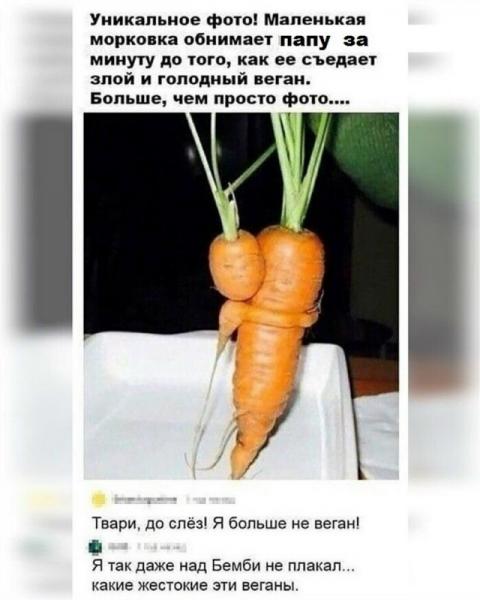 веган.jpg