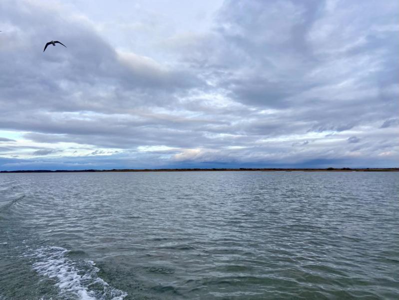 IMG_4599.jpeg