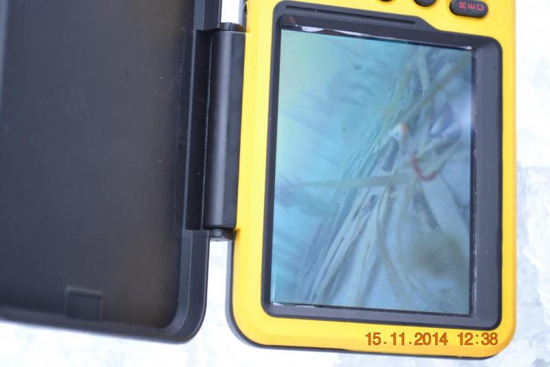 Прикрепленное изображение