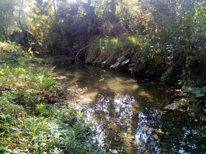 20141014150424.jpg