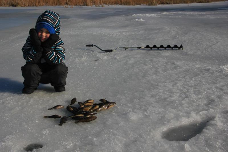 Прикрепленное изображение