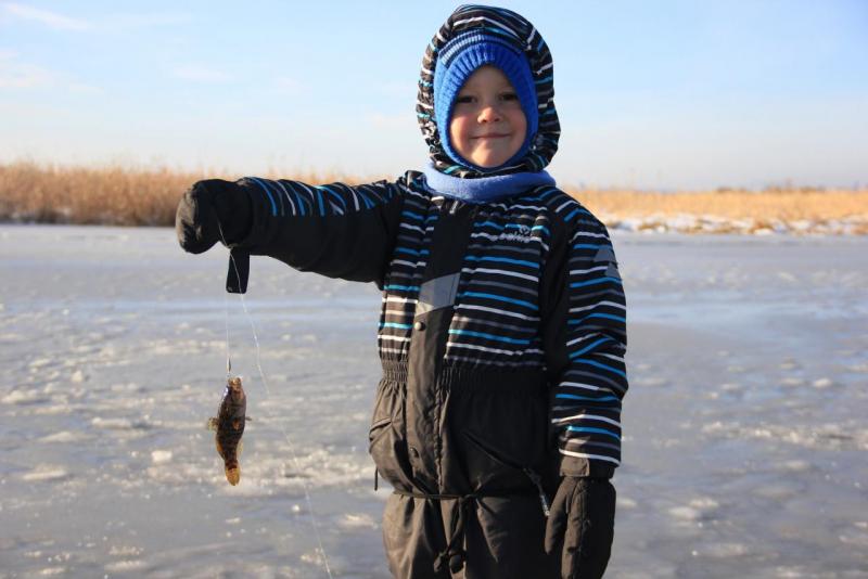 Прикрепленное изображение