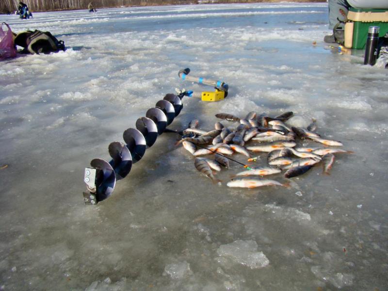 Прикрепленное изображение