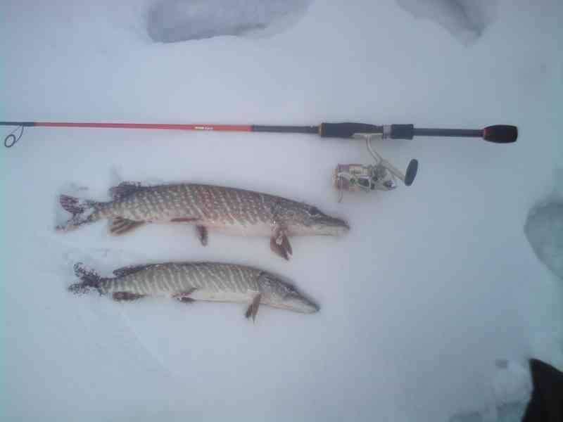 Прикрепленное изображение