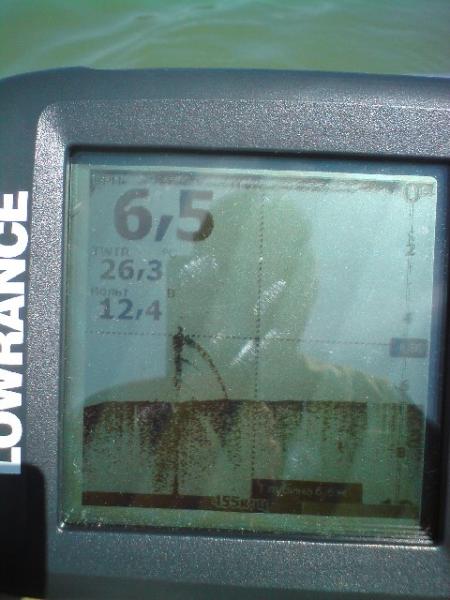 Прикрепленное изображение