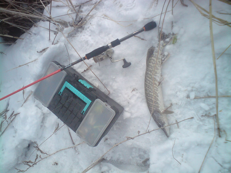 Прикрепленное изображение