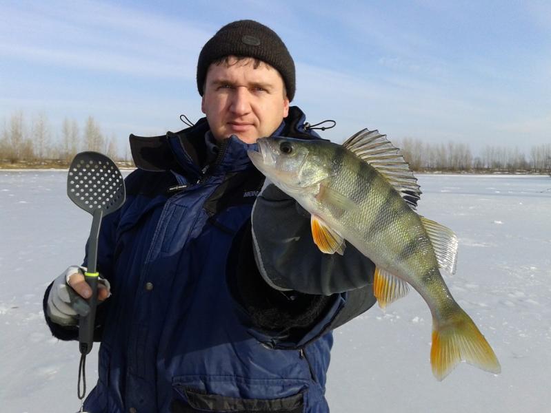 Прикрепленное изображение