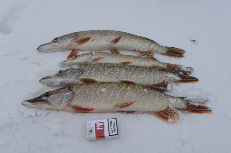 Прикрепленное изображение