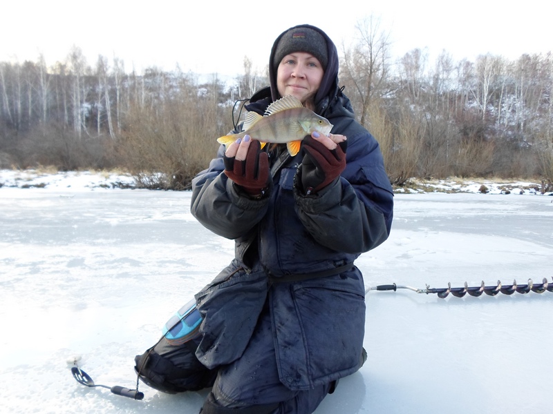 Прикрепленное изображение