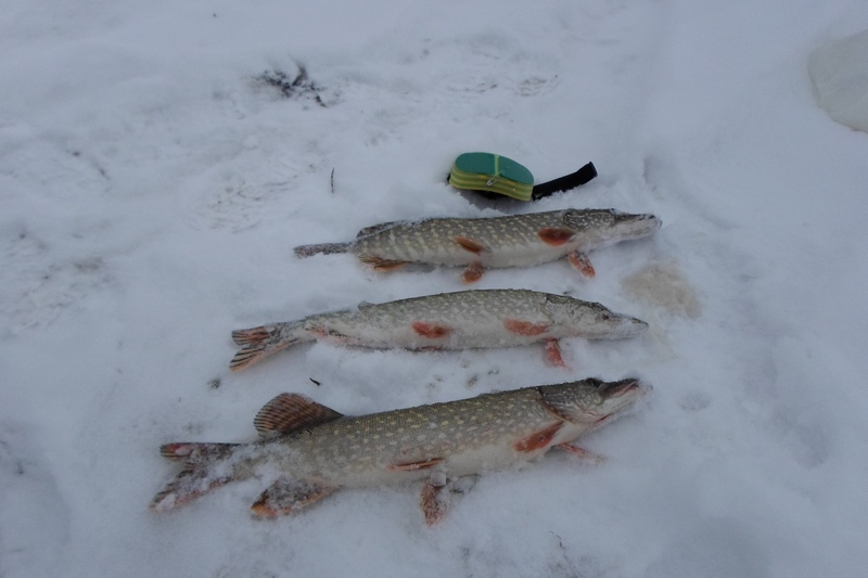 Прикрепленное изображение